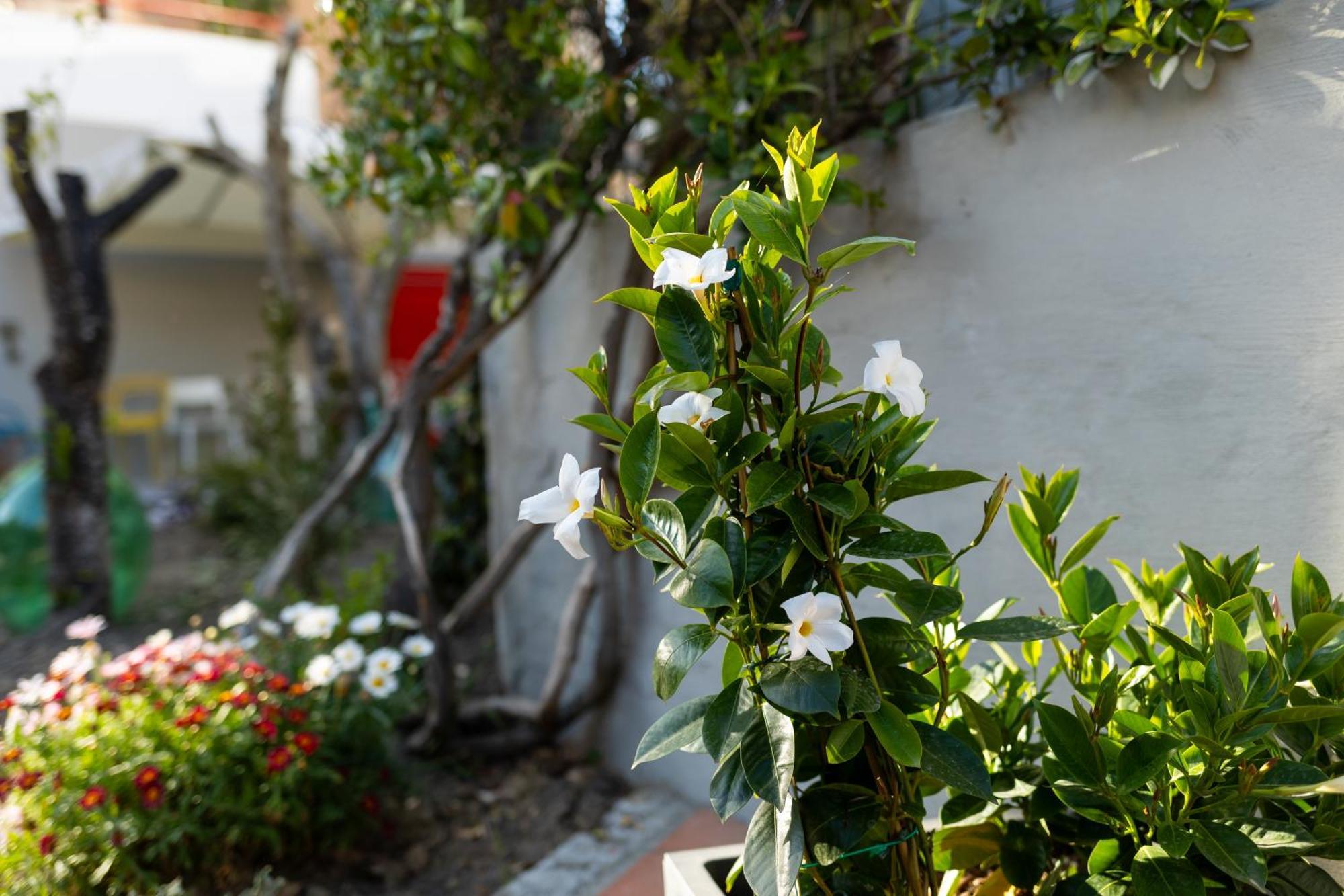 B&B Casa Gagliardi Matera Exteriér fotografie